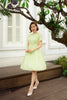 Esther Swing Dress in Green Gingham