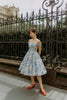 Florence Swing Dress in Toile du Jouy