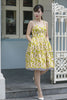 Laura Swing Dress