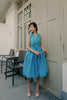 Betty Swing Dress in Pushing Daisies